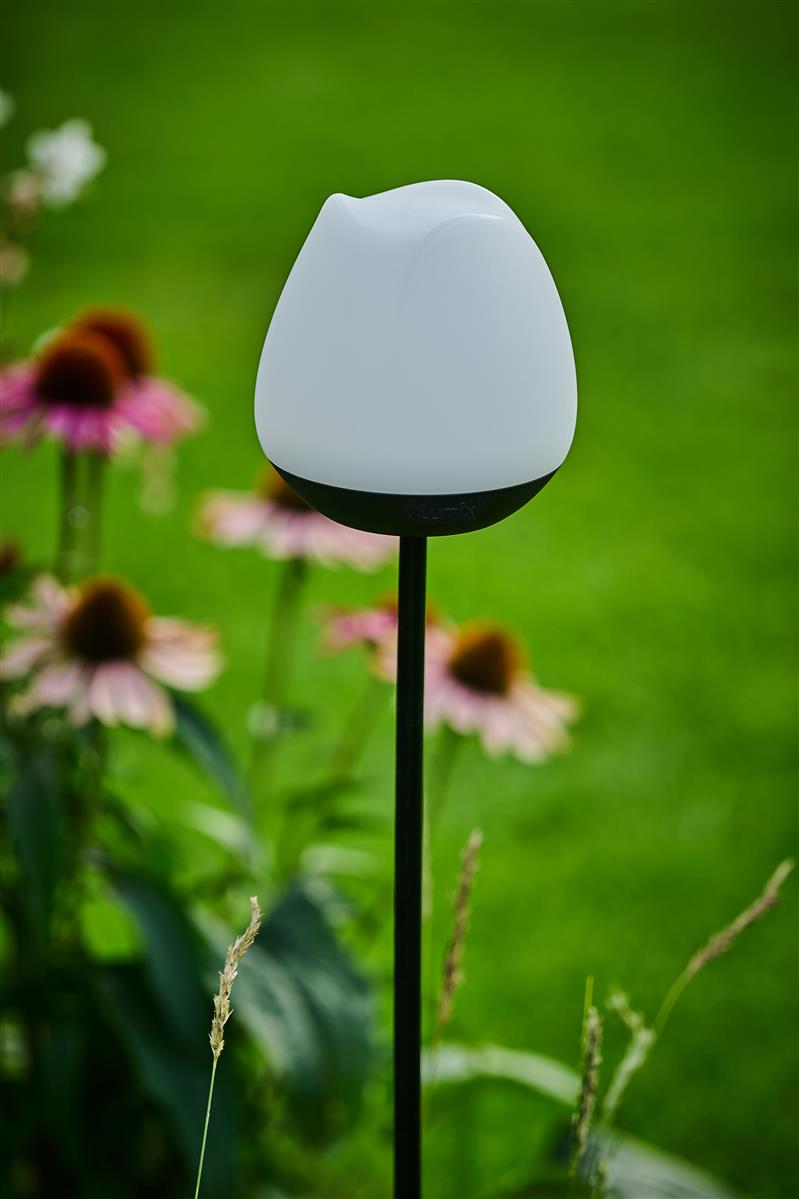 krinner-lumix-solar-flower-rosy-fleur-solaire-led-d-ext-rieur image 3