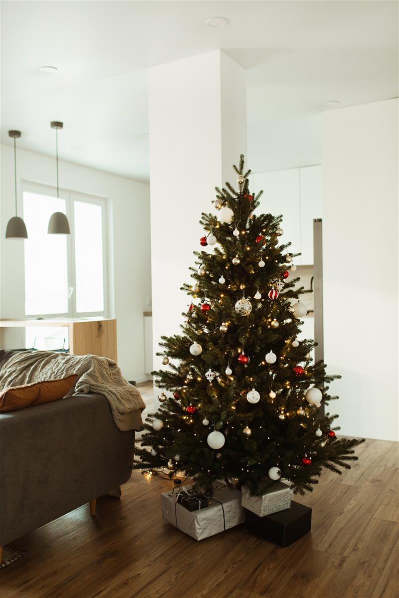 krinner-x-240-pied-de-sapin-de-no-l-2-4-m-festif image 5