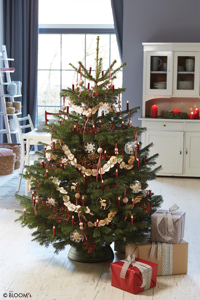 krinner-christbaum-fresh-conservateur-pour-sapin-naturel image 2