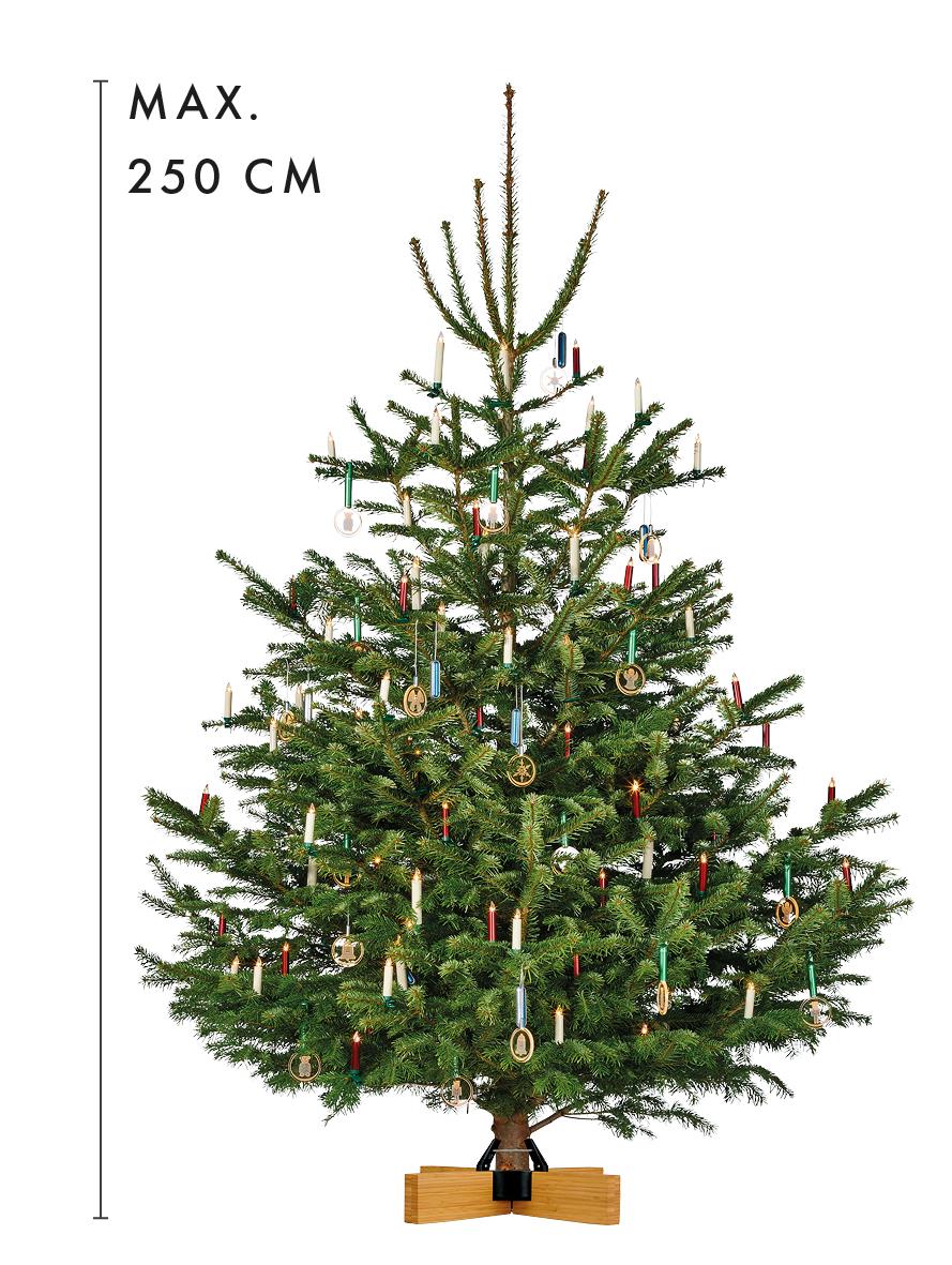 krinner-kopenhagen-bambus-pied-de-sapin-design-2-5-m-12-cm image 3