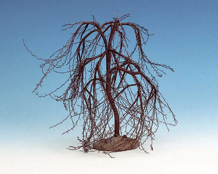 lemax-winter-willow-medium-spooky-town-arbre-d-hiver-miniature image 1