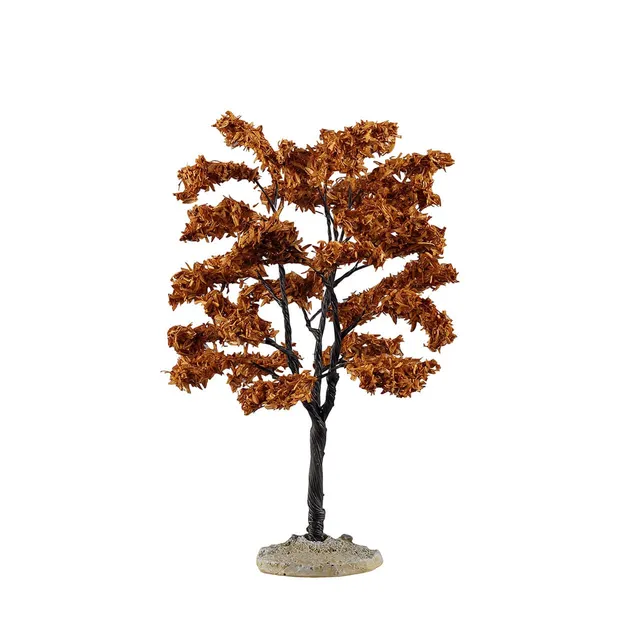 lemax-yellowwood-tree-medium-arbre-moyen image 1