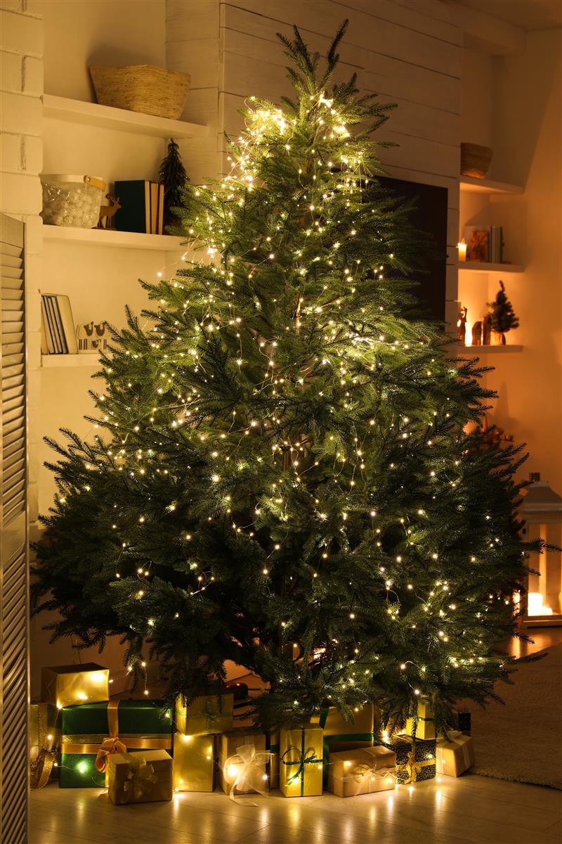krinner-x-440-deluxe-pied-de-sapin-de-no-l-xxl image 5