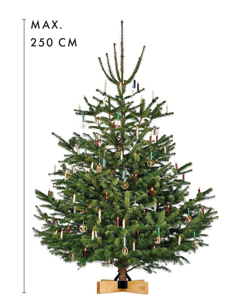 krinner-kopenhagen-pin-pied-de-sapin-nordique-pour-sapins-jusqu-2-5-m image 3