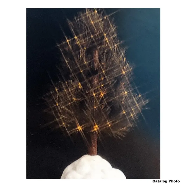 lemax-6-inch-shimmering-pine-clear-sapin-miniature-lumineux-15-cm image 1